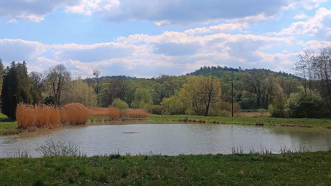 Leśny staw i wzgórza w Dolinie Hołubli