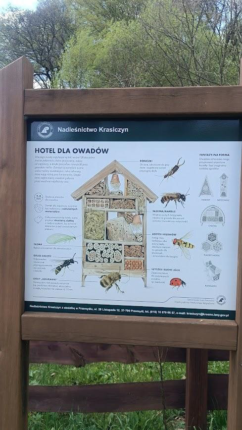 Tablica edukacyjna: hotel dla owadów – Nadleśnictwo Krasiczyn